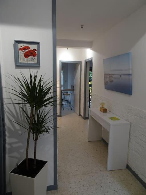 Grande Maison 3 Chambres - Jardin, Terrasse Et Parking - Bord De Mer Torreilles Kültér fotó